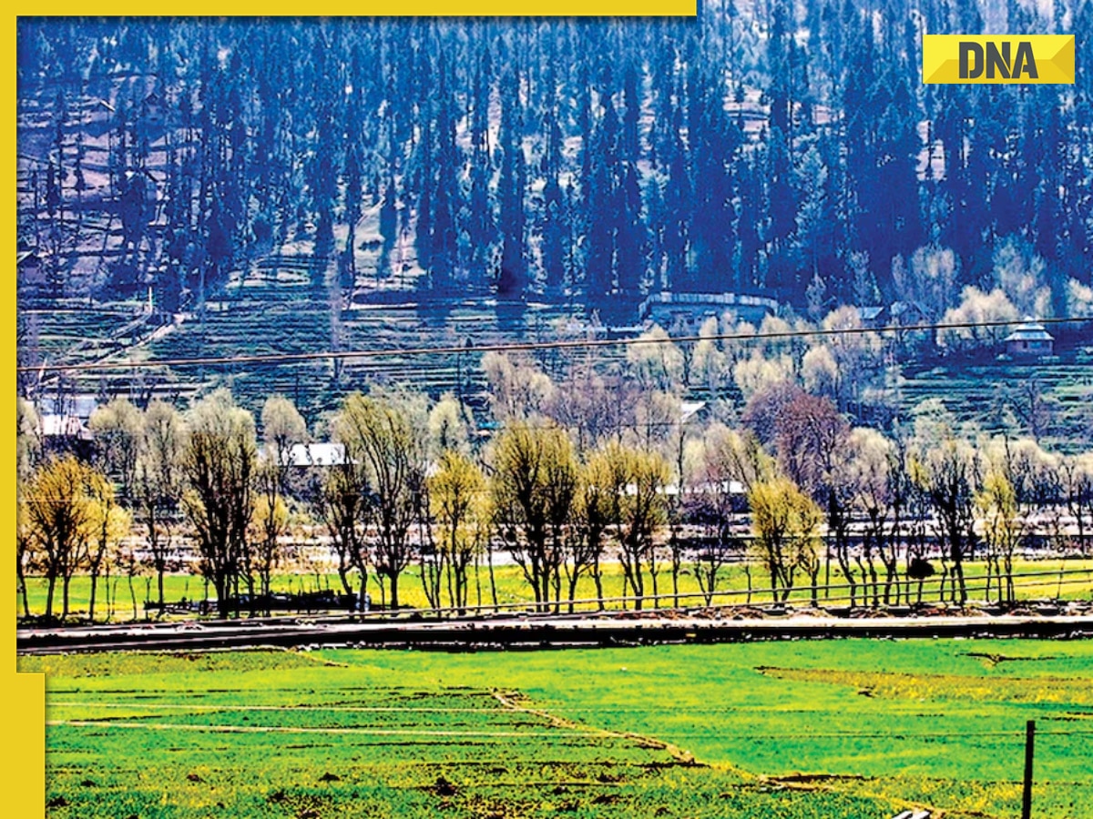 Days after Pahalgam terror attack, Jammu and Kashmir govt takes big action, 48 tourist destinations out of 87 closed in Valley