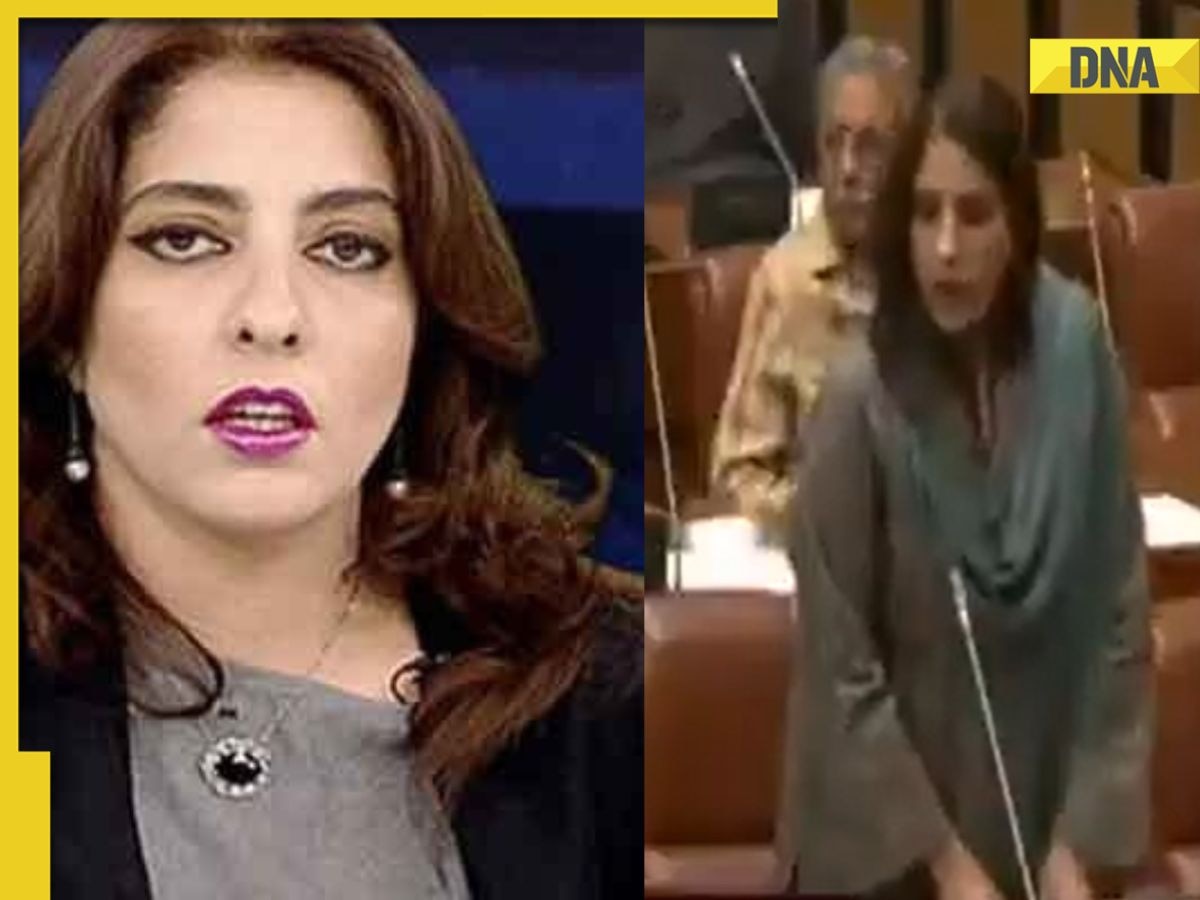 Pakistani senator issues provocative comments after Pahalgam attack: ‘Brick of new Babri mosque in Ayodhya...’ 