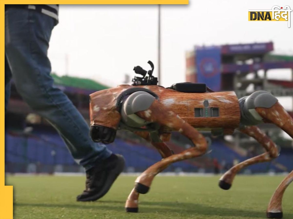IPL 2025 के बीच BCCI को तगड़ा झटका, रोबोट कुत्ते को लेकर हाईकोर्ट ने भेजा नोटिस; जानें पूरा मामला 