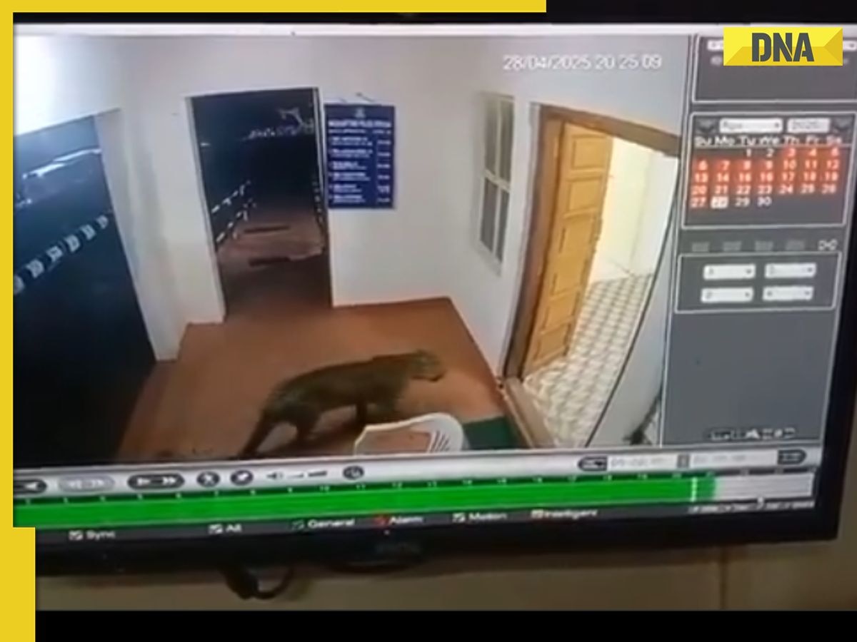 Viral video: Leopard pays unexpected visit to Tamil Nadu police station, leaves social media stunned