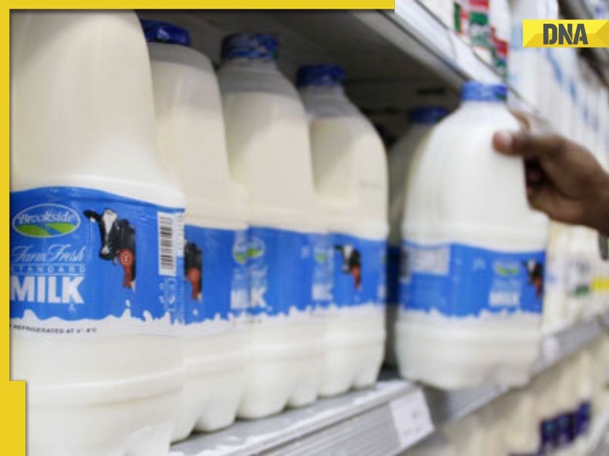 After Mother Dairy, THIS dairy company hikes milk prices by Rs 2 per litre, check new rates 