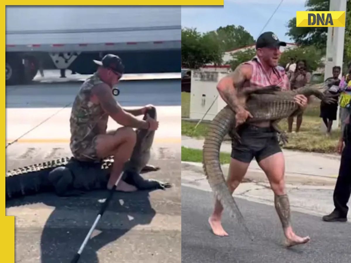 Viral video: Barefoot man wrestling giant alligator on highway gives netizens goosebumps