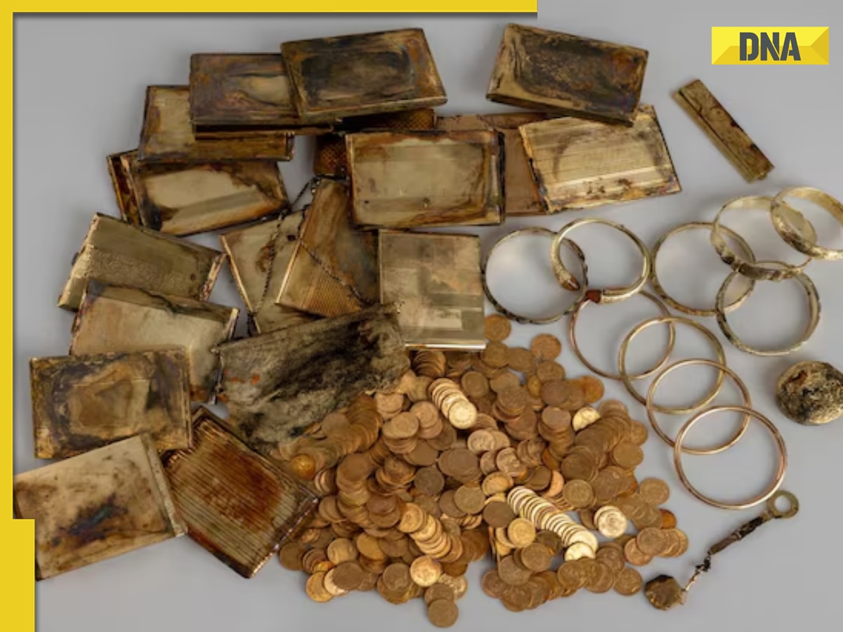 Lucky adventure! Hikers find treasure possibly buried by Nazis over 100 years ago, it is worth Rs...