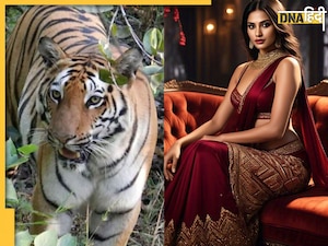 MP News: बाघिन से ज्यादा खतरनाक पत्नी! बीवी को कंट्रोल में रखने के लिए उसके दांत और पंजे उखाड़ लाए पति