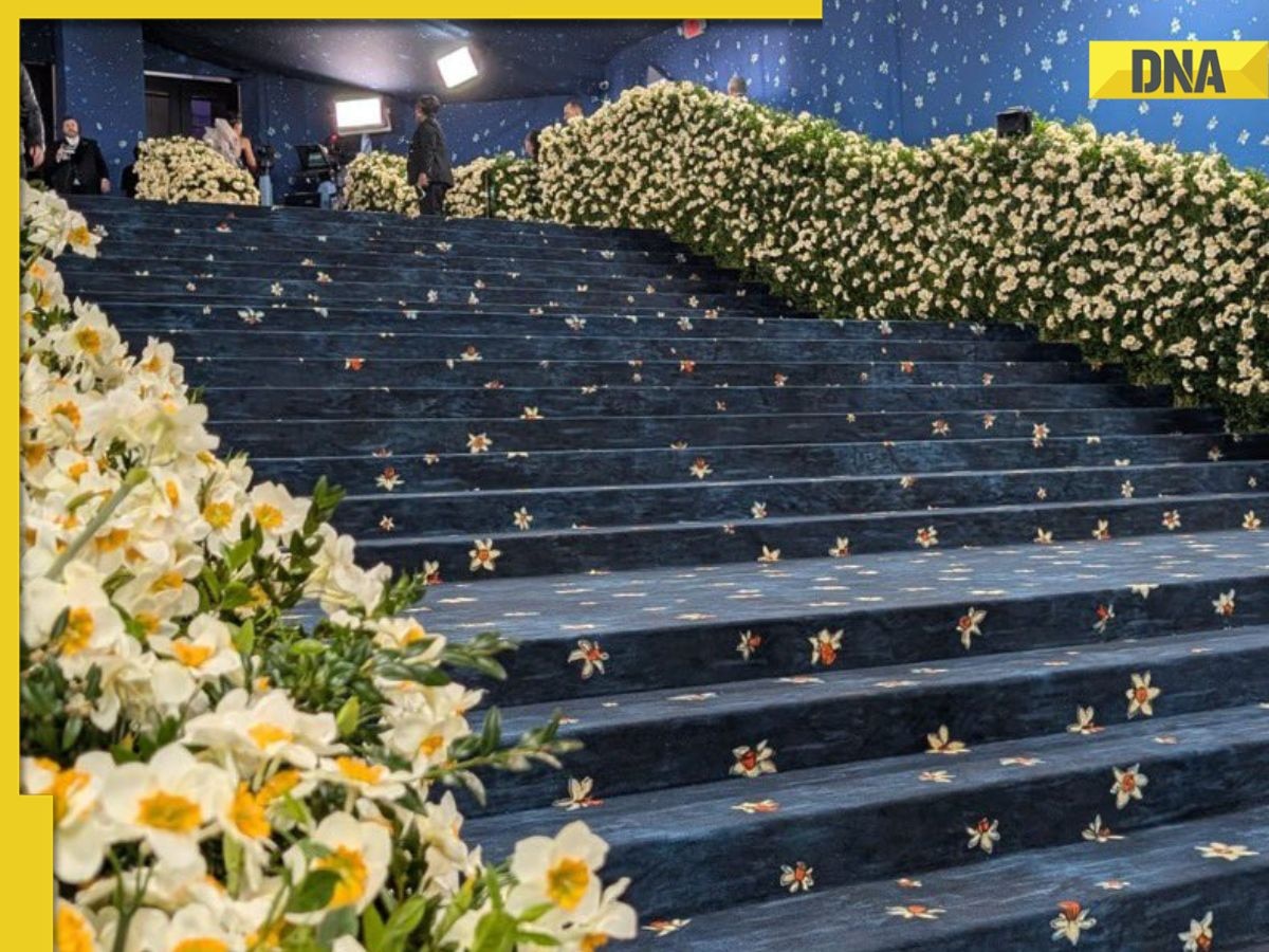 63,000-square-feet blue floral carpet at Met Gala 2025 was made by this Kerala company, 480 artisans worked for... 