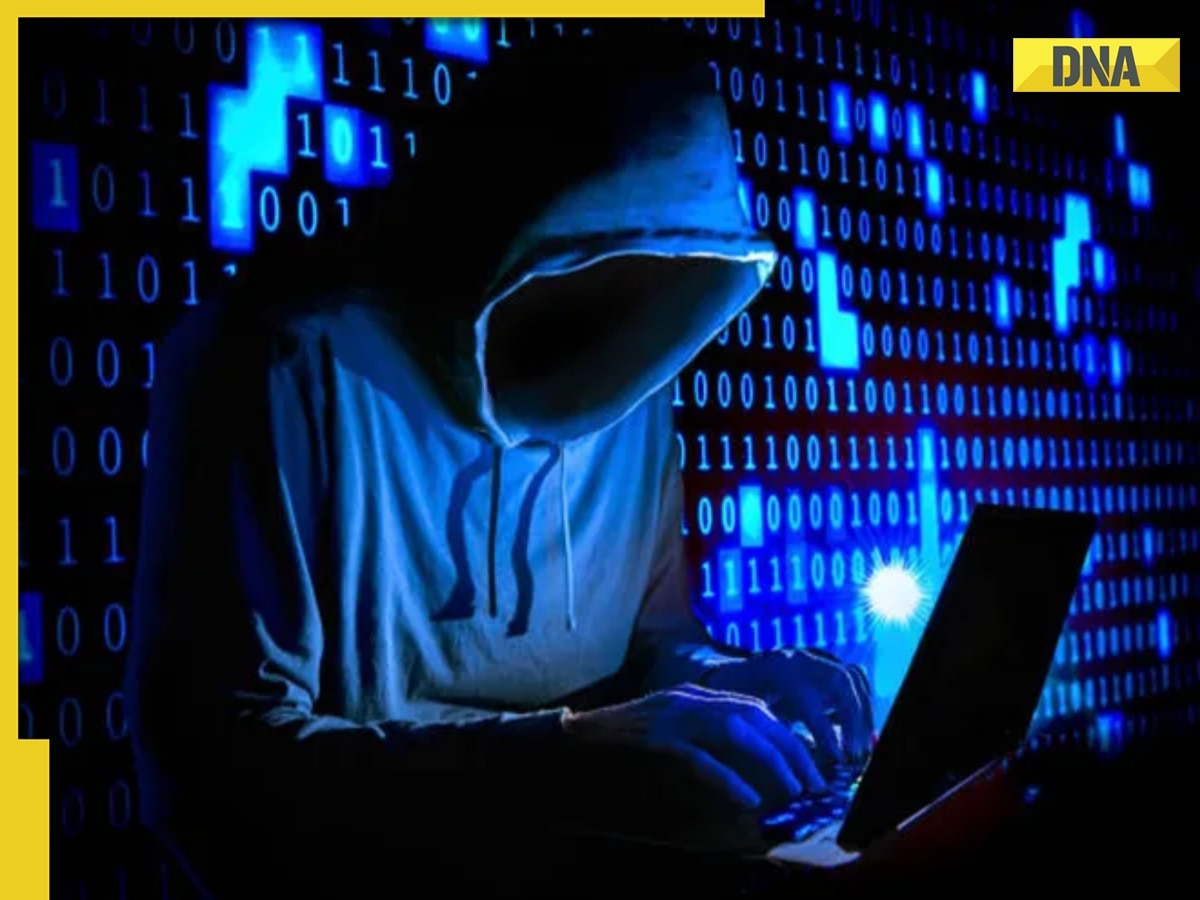 Fact check: Pakistan plots big cyber attack on India? Check latest update