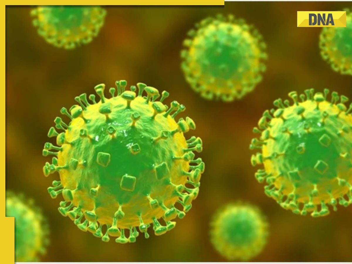 Nipah virus case confirmed in Kerala's Malappuram district; know signs, symptoms and treatment