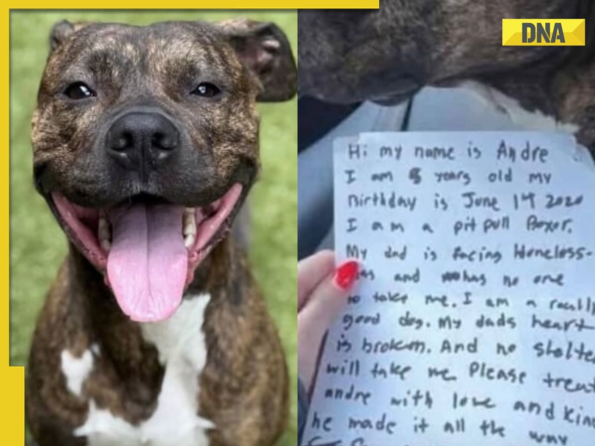 Abandoned Dog with heartbreaking note finds new loving home