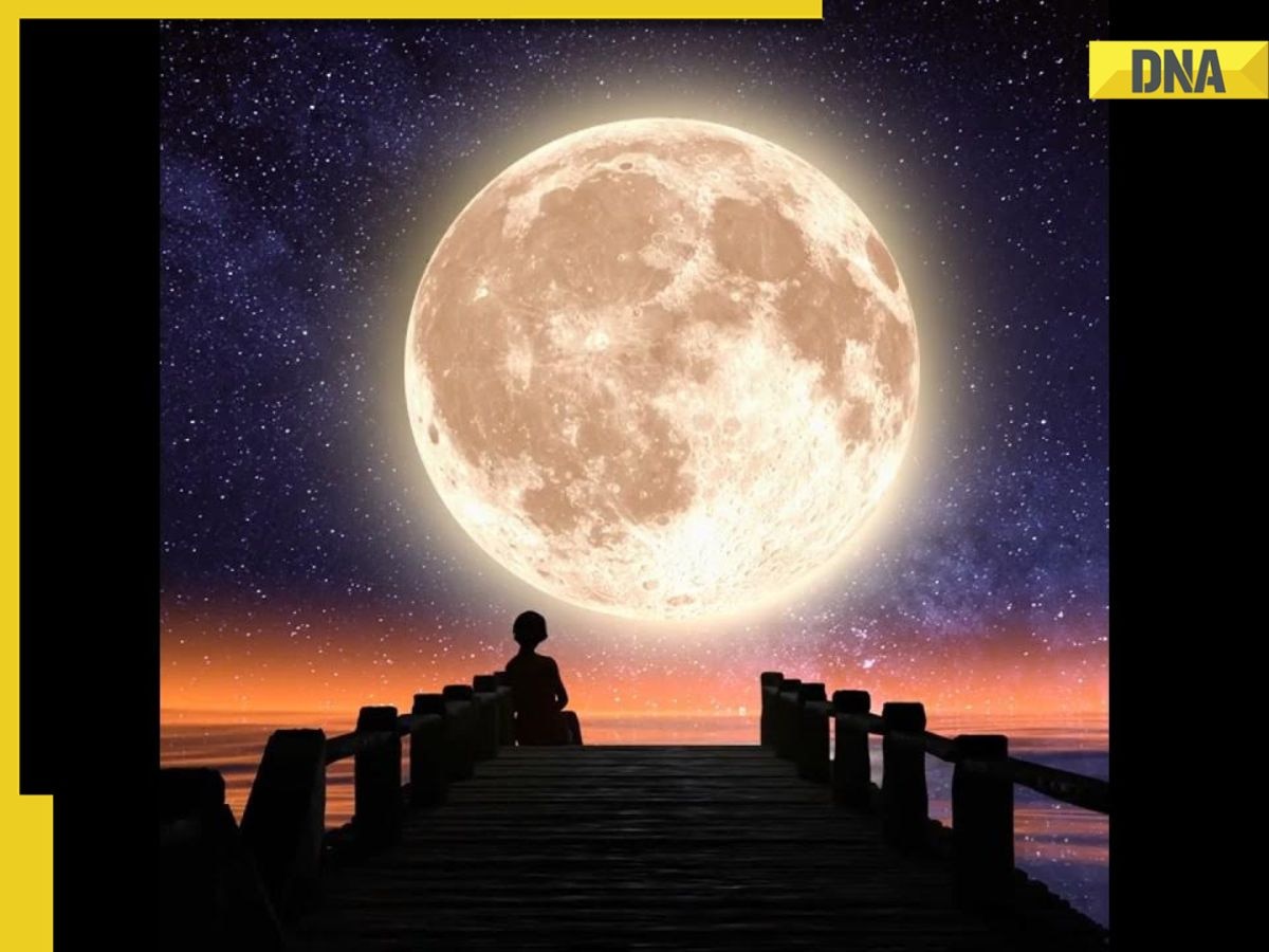 Flower Moon to light up night sky today, know significance, timing, other details 
