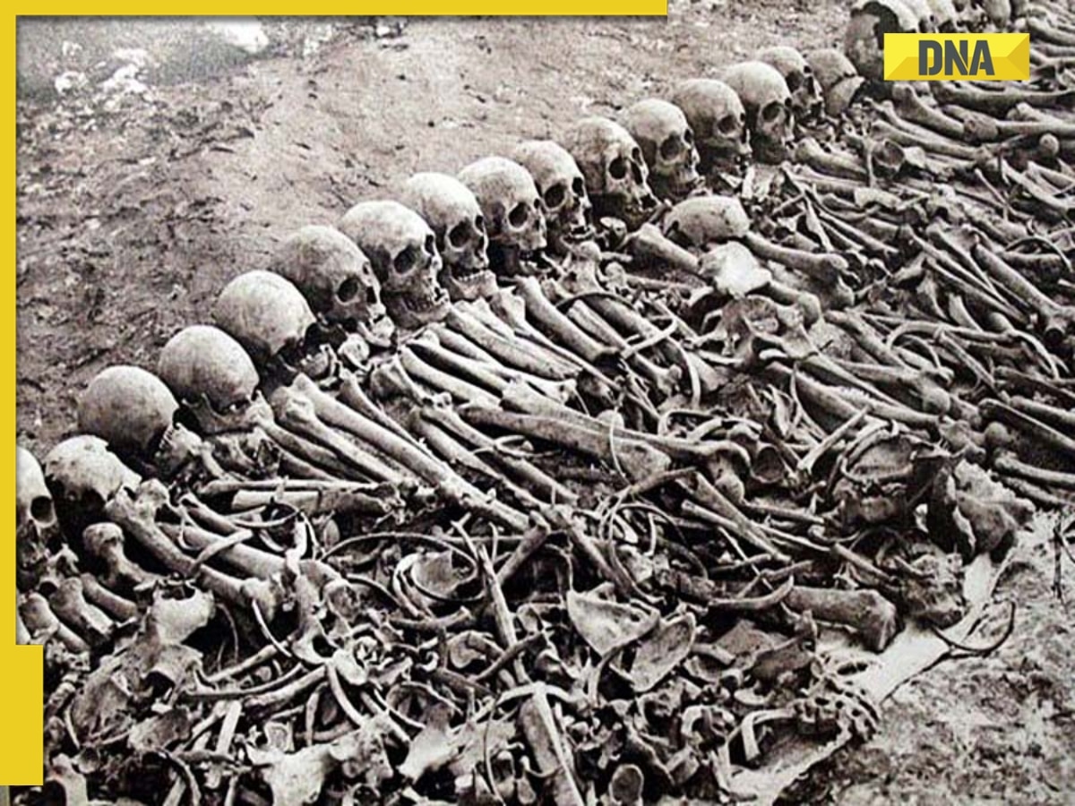 Did Turkey commit genocide in Armenia, killing 10 lakh people? THIS is what Holocaust Encyclopedia says