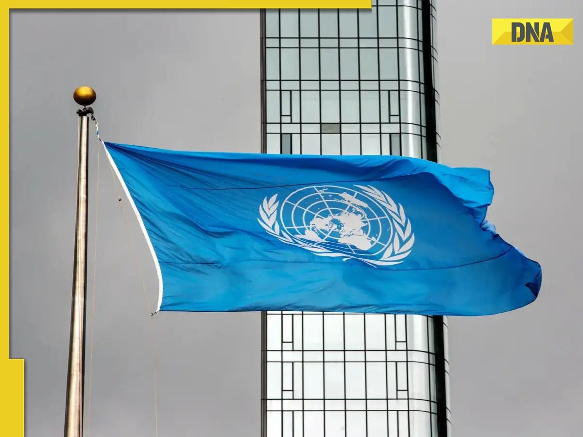 India to lead global growth at 6.3%, outpacing China, US, EU: UN