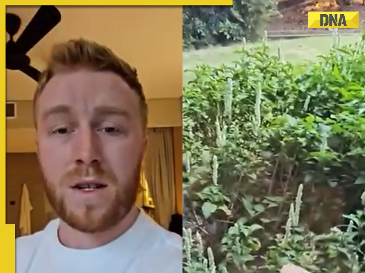 Viral Video: Tourist in Thailand ‘shaking’, vows to never ‘go out again’, what he saw outside his hotel room will SHOCK you 