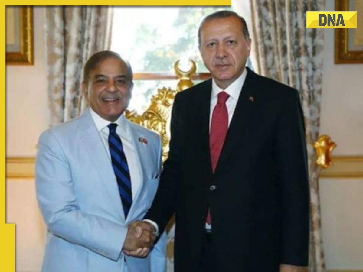 Pakistan's 'all-weather brother' Turkey is India's opponent under Erdogan, says expert