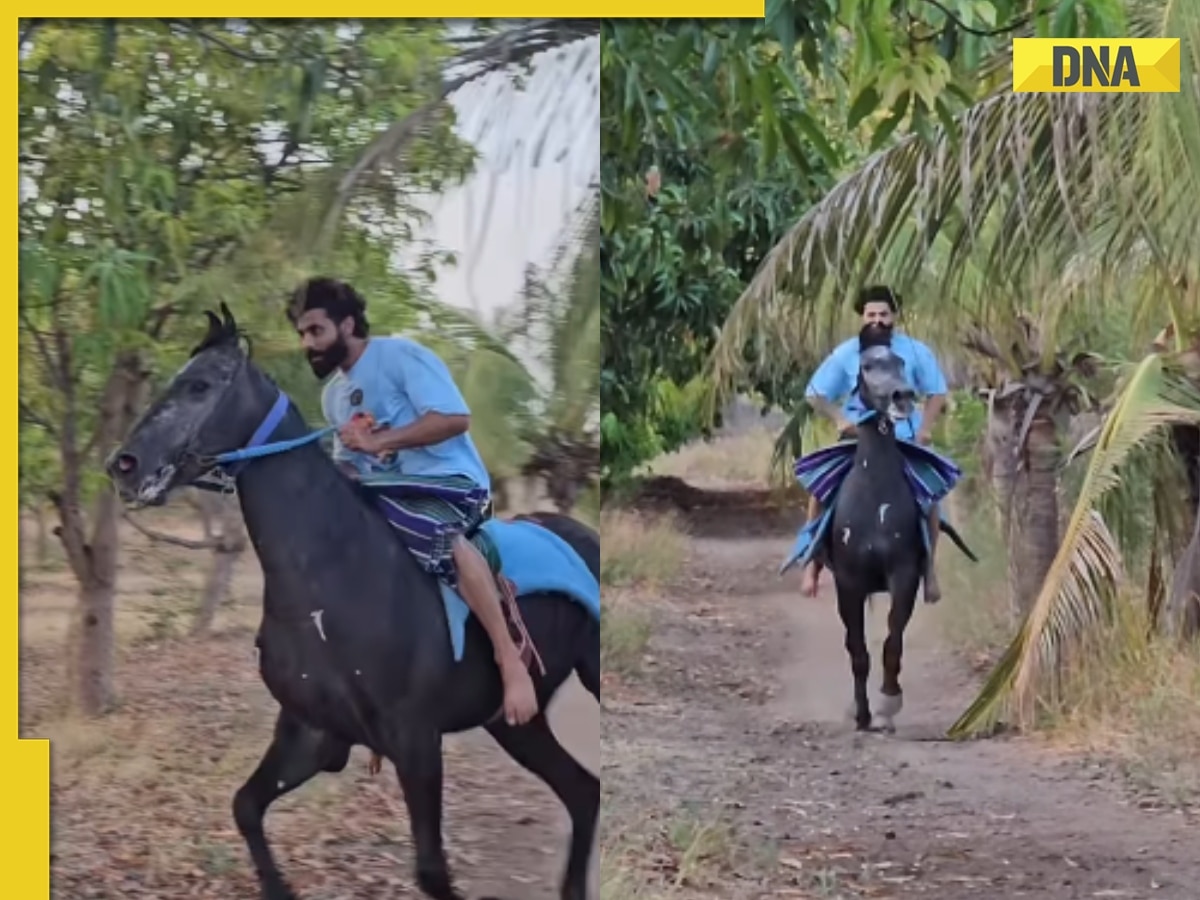Viral video: Ravindra Jadeja shows off his horse riding skills in the middle of the IPL 2025, netizens say 'cricket ke Pushpa bhao', watch