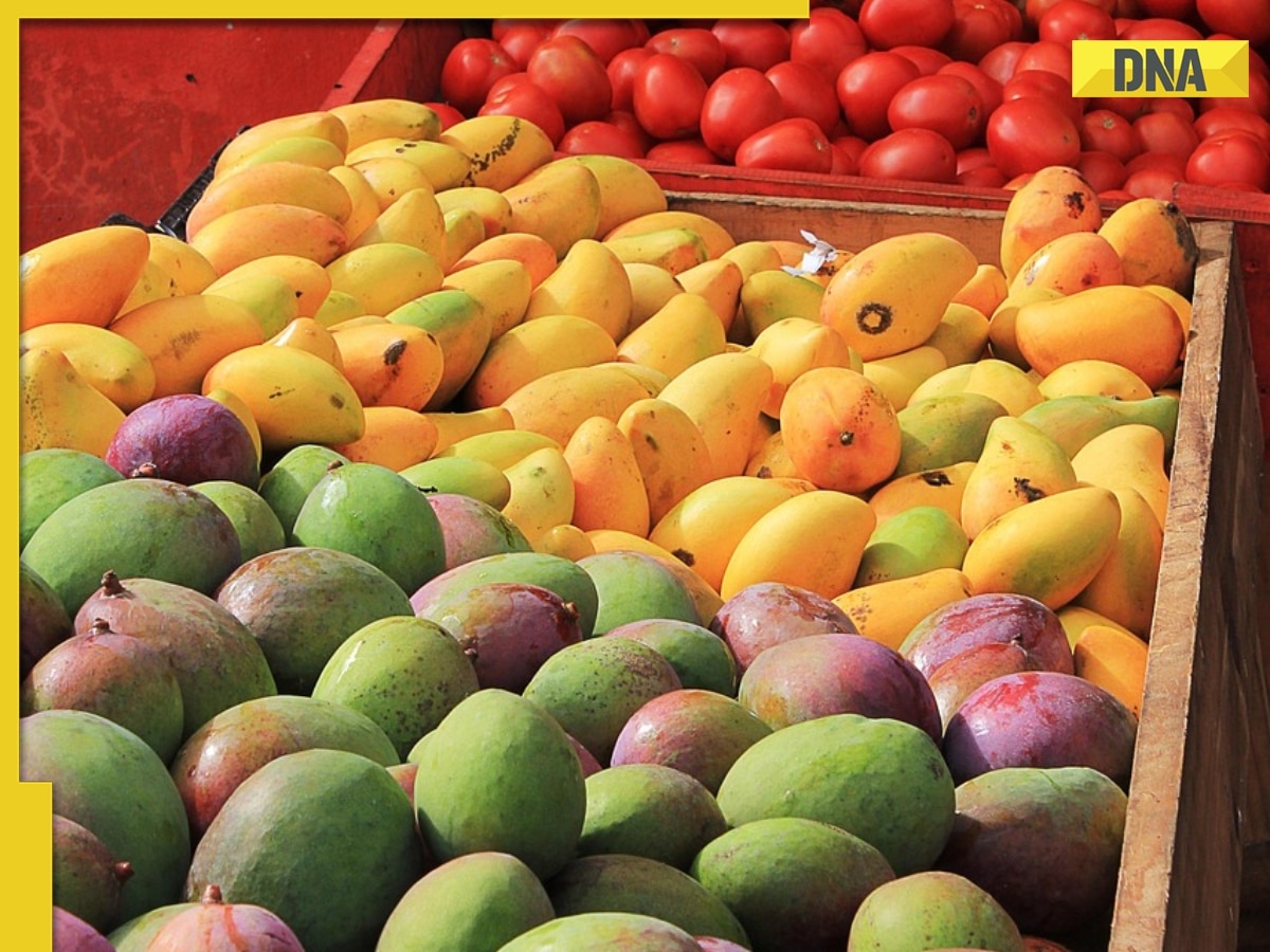 DNA TV Show: US rejects 15 mango shipments from India