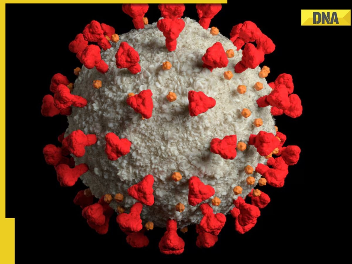COVID-19 cases see surge in Singapore, Hong Kong, other parts of Asia, reason is this variant, check symptoms, prevention tips