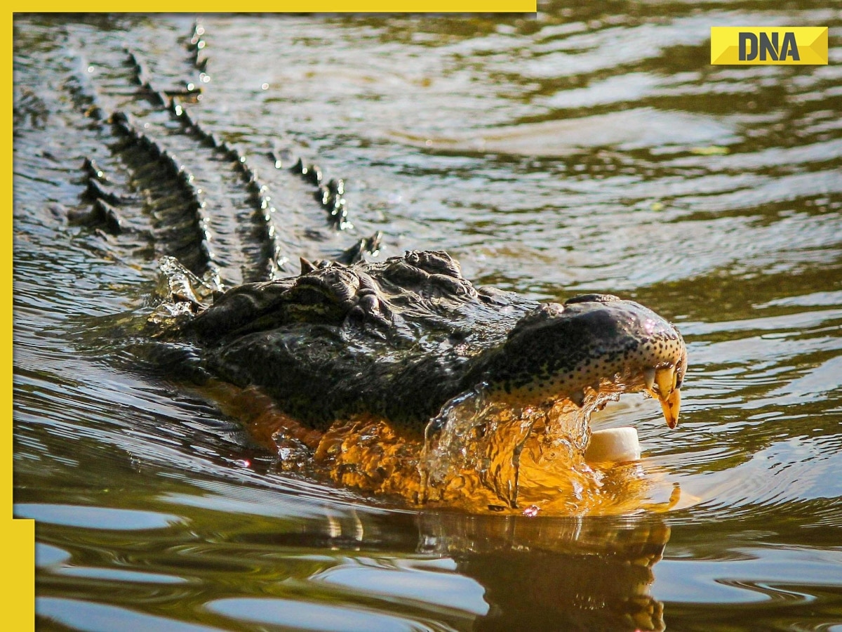 Who is 'Doctor Death'? Doctor-turned-serial killer infamous for feeding victims to crocodiles arrested by Delhi police 