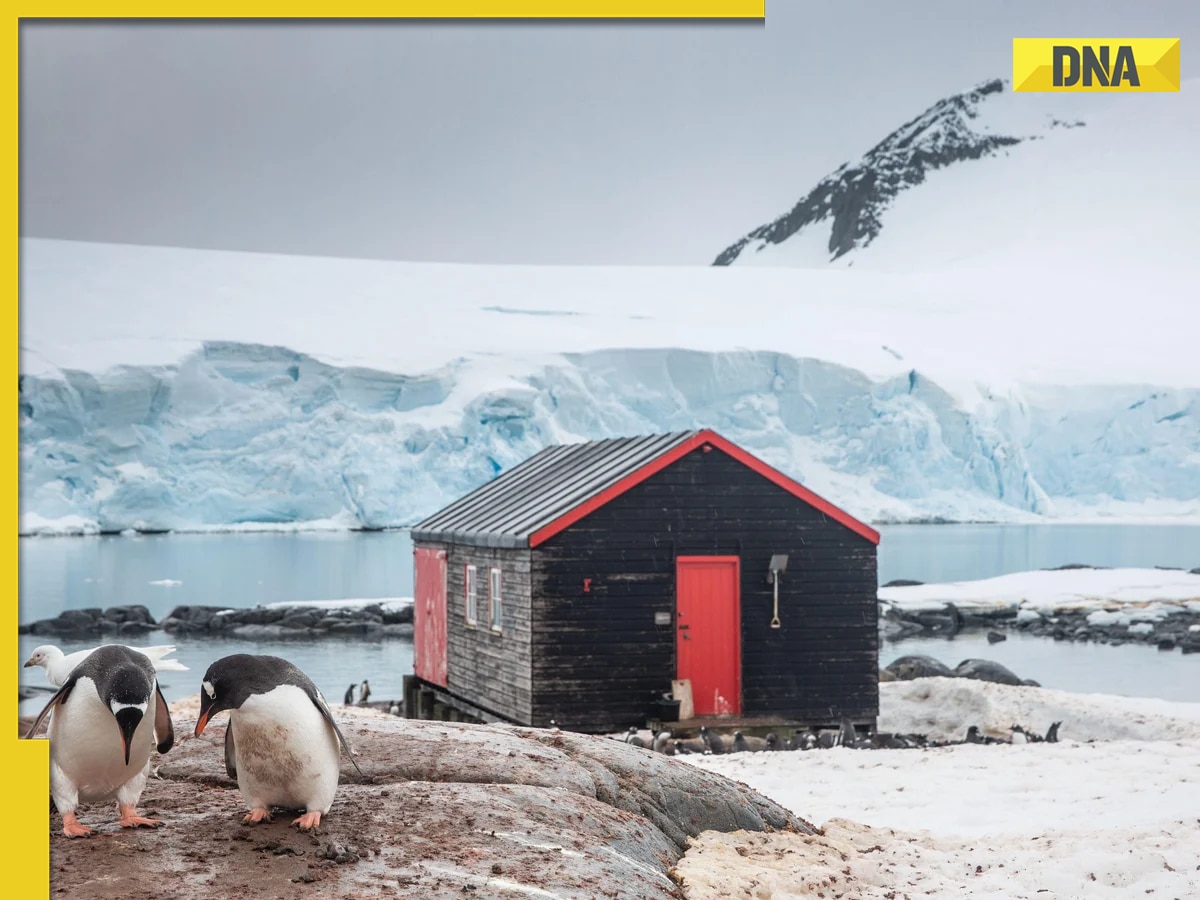 THIS is most remote post office in the world, fondly called Penguin Post Office, it is located in...