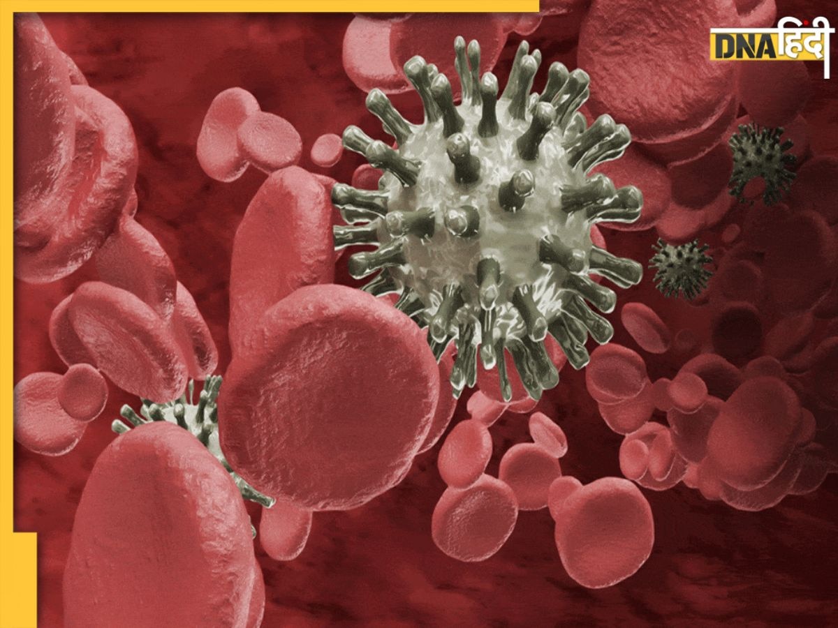 Blood Cancer Treatment: 9 दिन में ब्लड कैंसर ठीक! भारतीय डॉक्टरों की महान सफलता, आखिर क्या है 'वेलकार्थी'?  