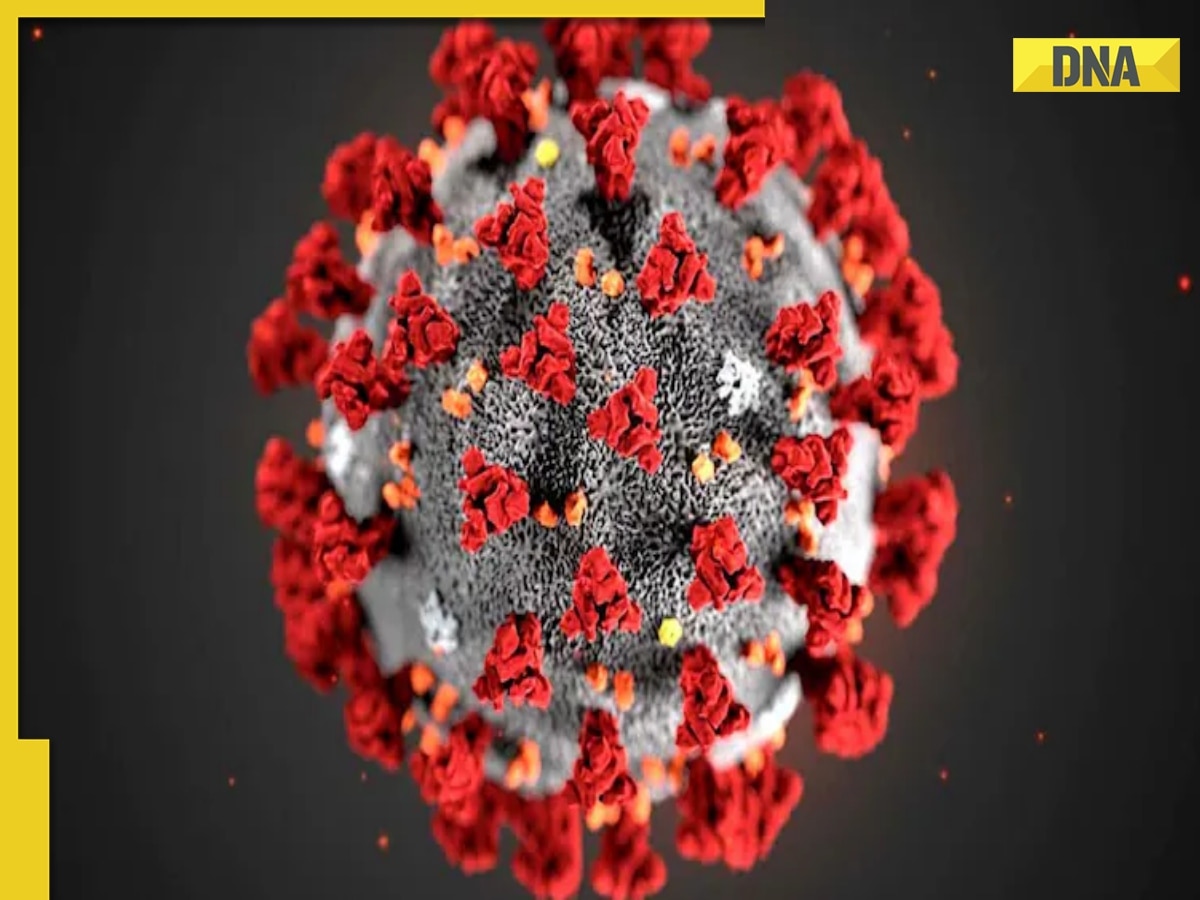 Is new Covid-19 variant JN.1 deadly? Here’s what you need to know as cases spike in India