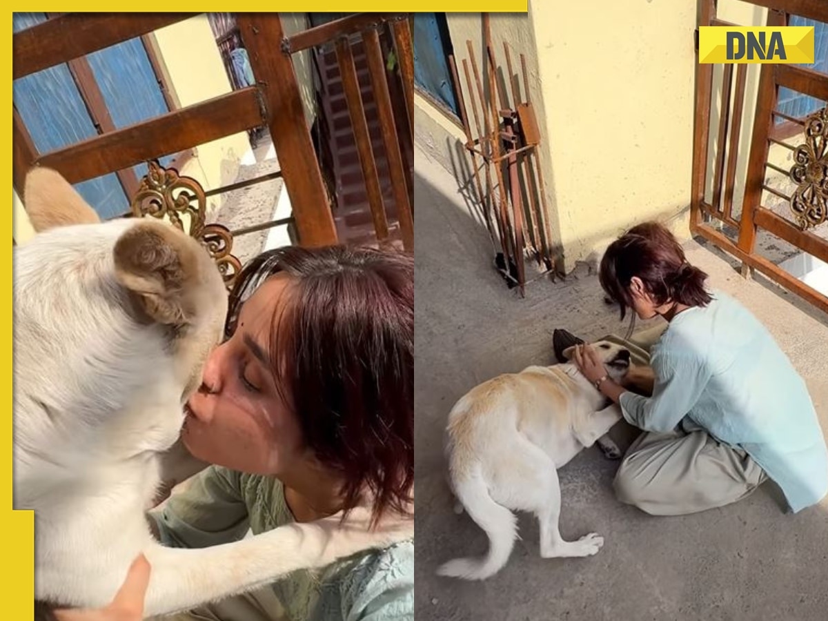 'We all cried': Woman's emotional reunion with pet dog after Operation Sindoor leaves netizens in tears, WATCH viral video 