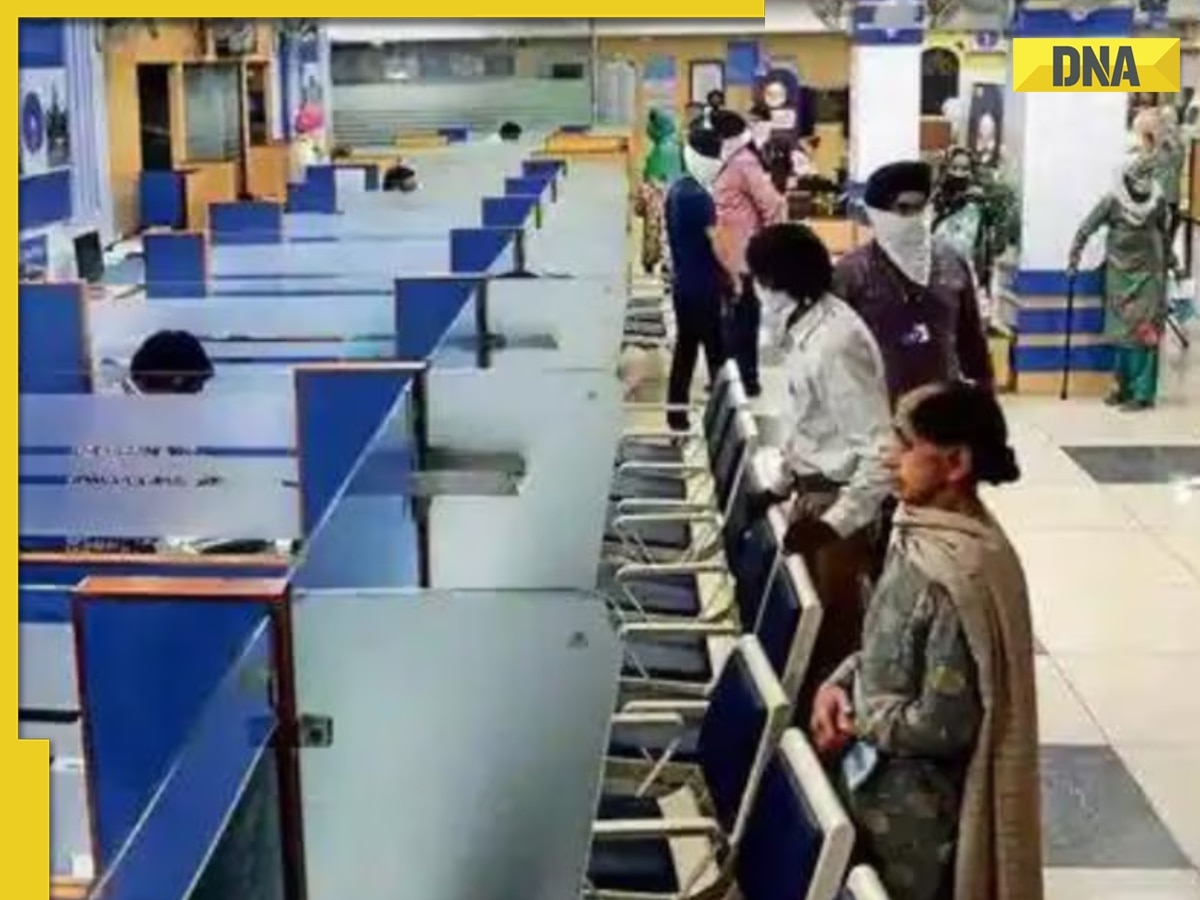 India's largest govt bank earns Rs 19589 crore in just...; market cap reaches...
