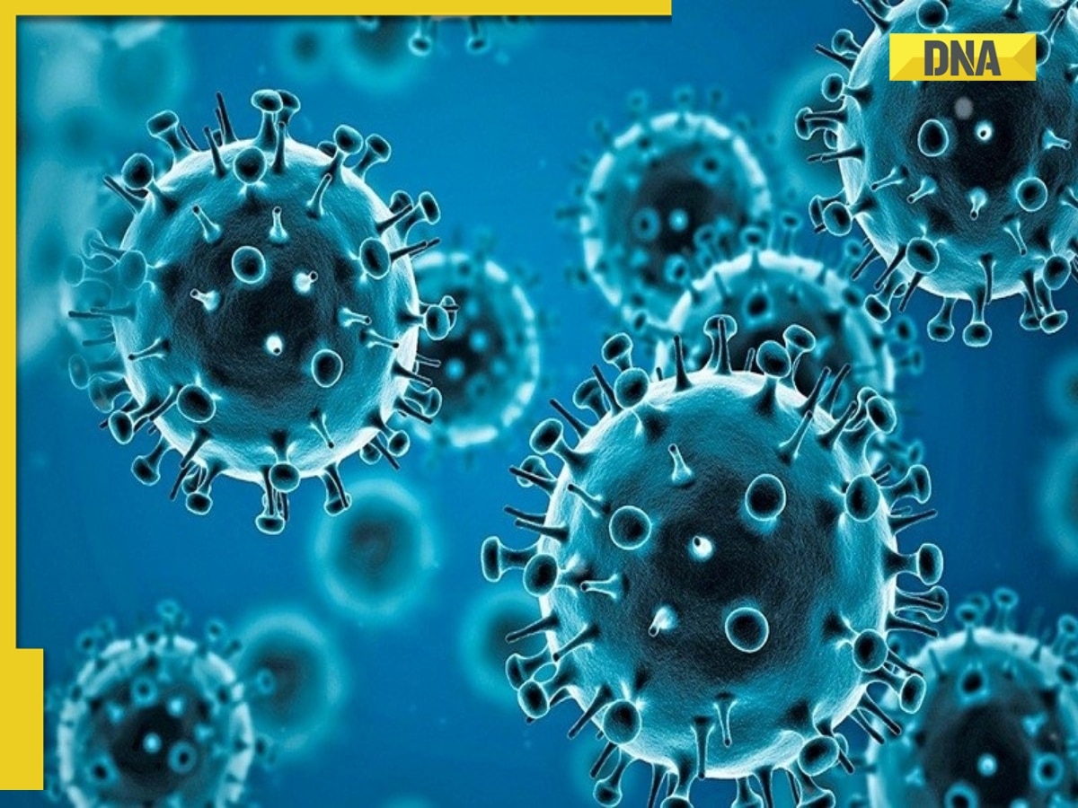 What is COVID-19? How many people died of Coronavirus? WHO says...