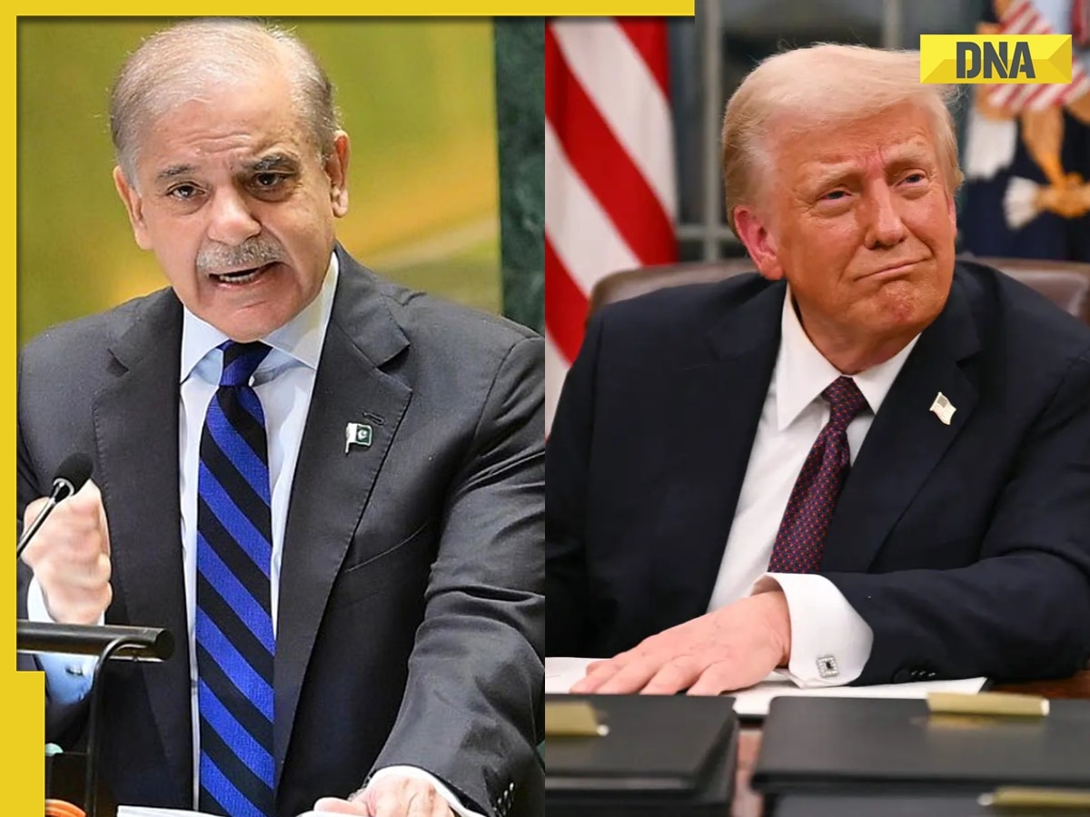 BIG statement by Pakistan PM Shehbaz Sharif days after ceasefire with India, says 'Donald Trump is a man for...' 