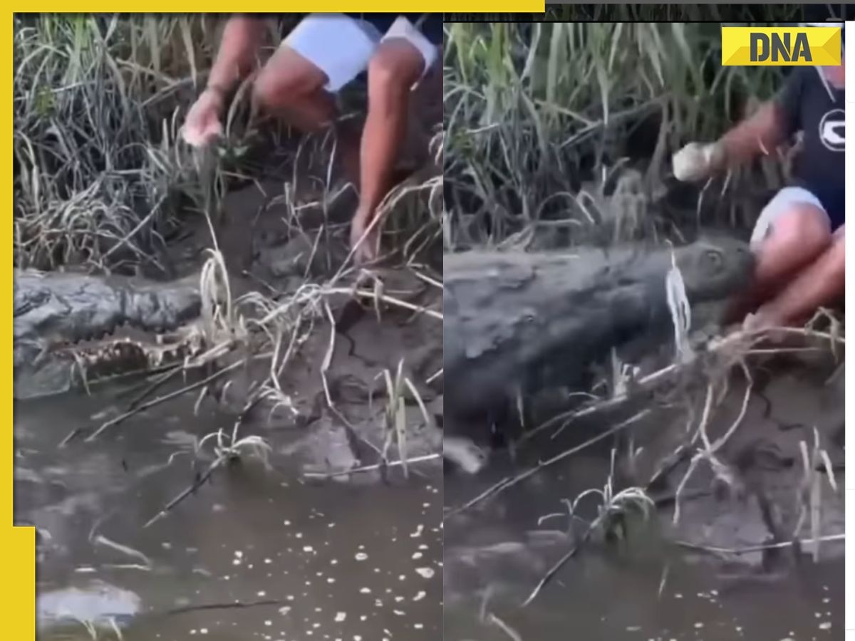 'Had a heart attack': Viral video shows man’s risky close call with giant crocodile