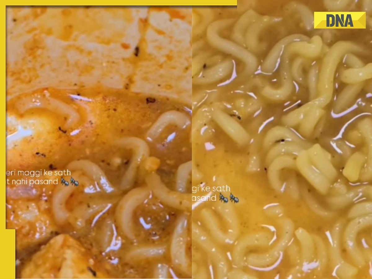 'This is unacceptable': Woman finds ants in instant noodles ordered online, internet reacts strongly