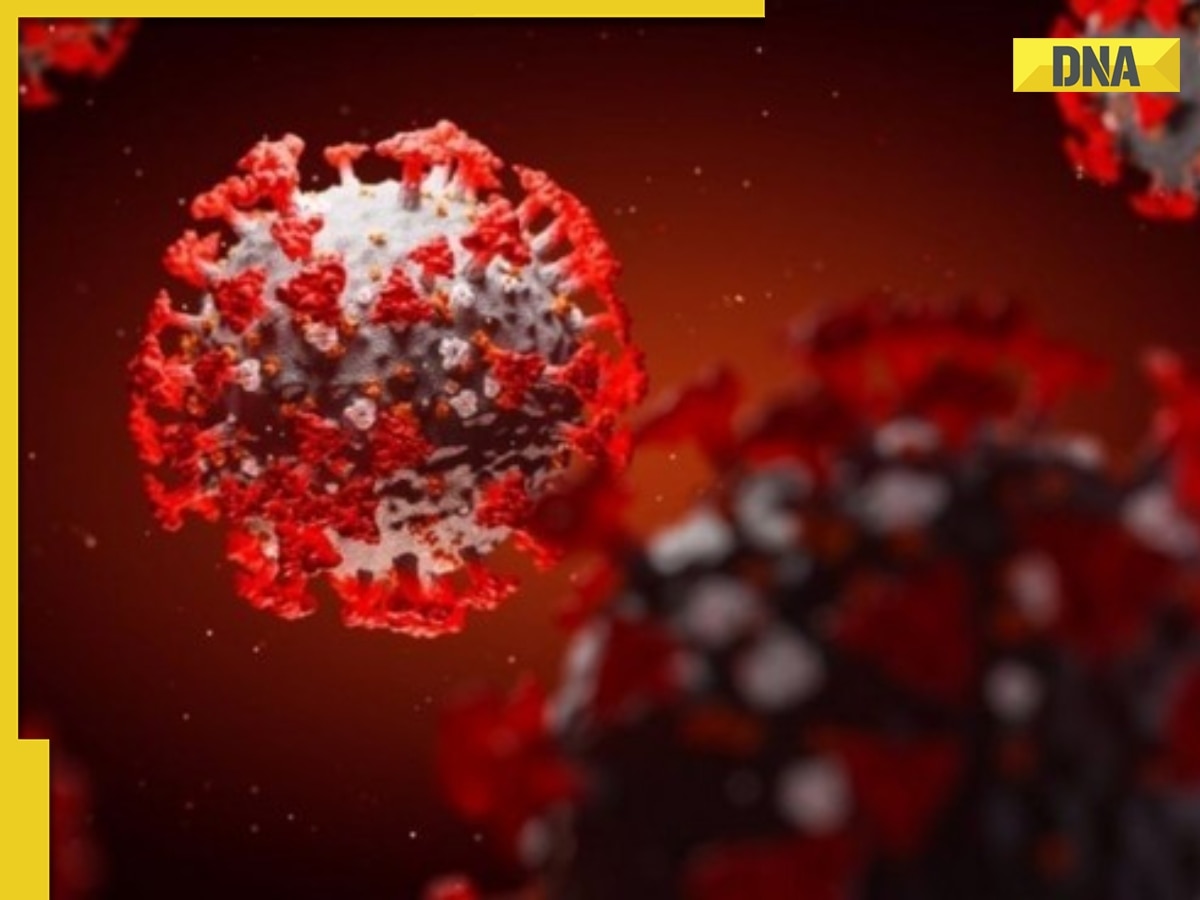 Japan’s ‘Baba Vanga’, who predicted COVID -19, warns of another mega virus, claims it can kill thousands, this virus is...