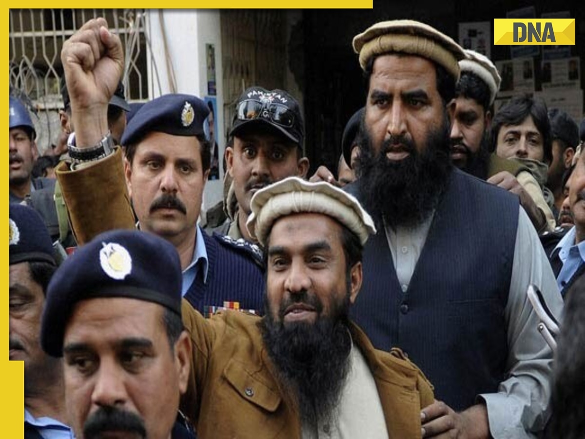 What is Brigade 313? Senator admits Pakistan supported terrorist organisations, Sherry Rehman says about India...