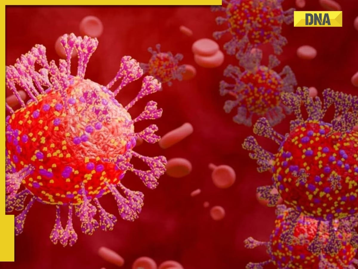All you need to know about Coronavirus: Origin, discovery, carriers, what can it do to humans, WHO says...