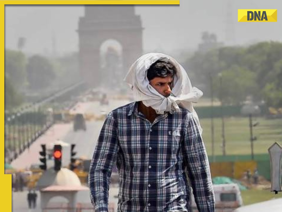 Delhi NCR Weather: Delhi records season's hottest day as temperature reaches...; IMD forecast says rain expected after THIS date