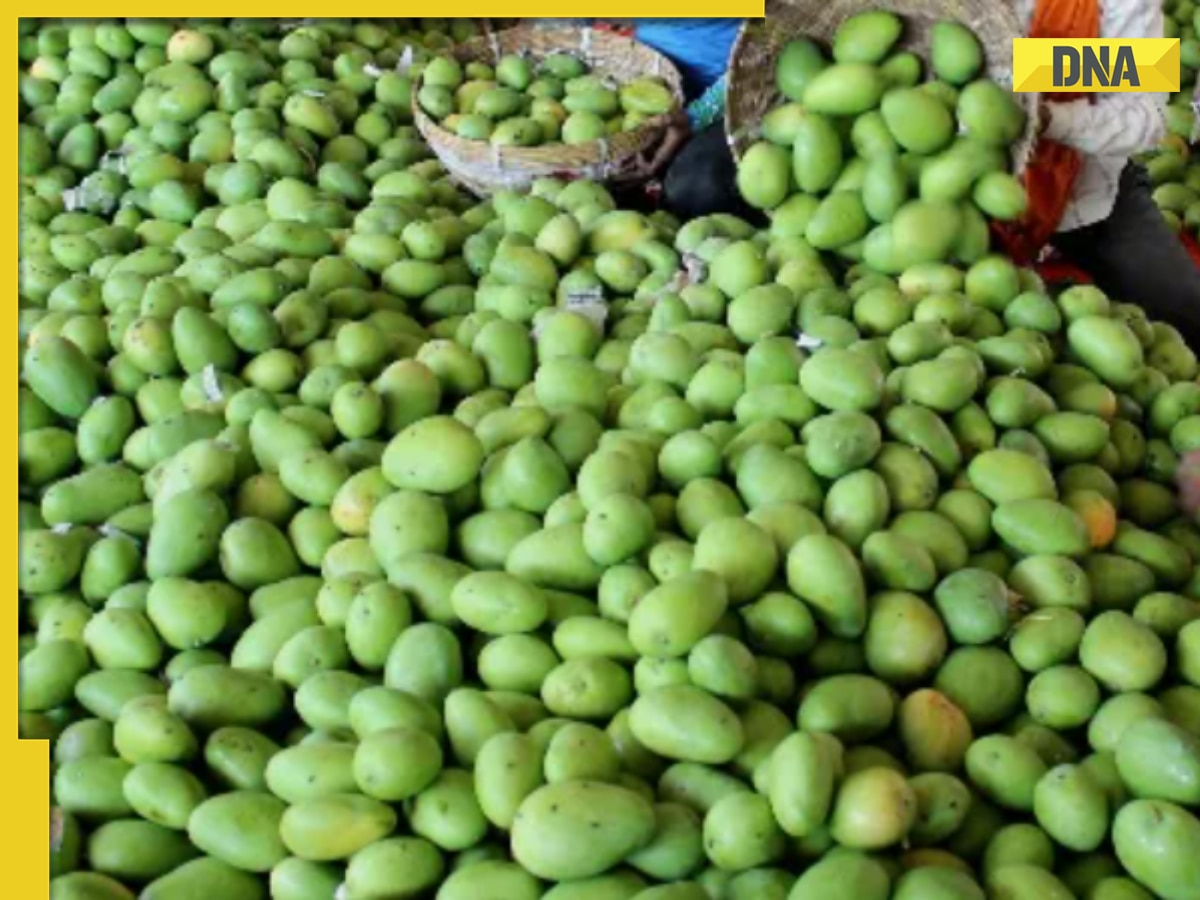 This Muslim nation is biggest importer of Indian mangoes, not Saudi Arabia, Kuwait, Qatar, it is...
