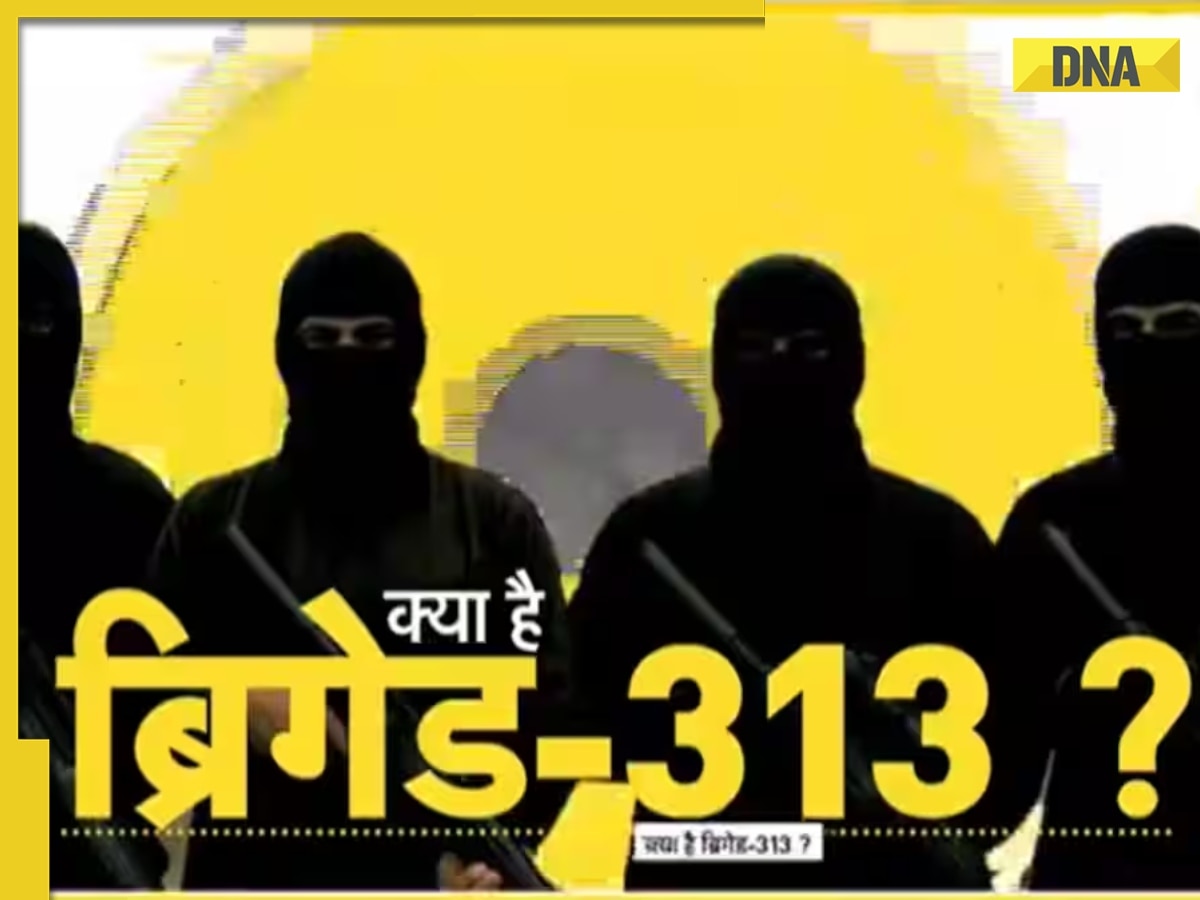 DNA TV Show: What is Brigade 313 as Pakistan Senator Sherry Rehman admits Islamabad's terror past?