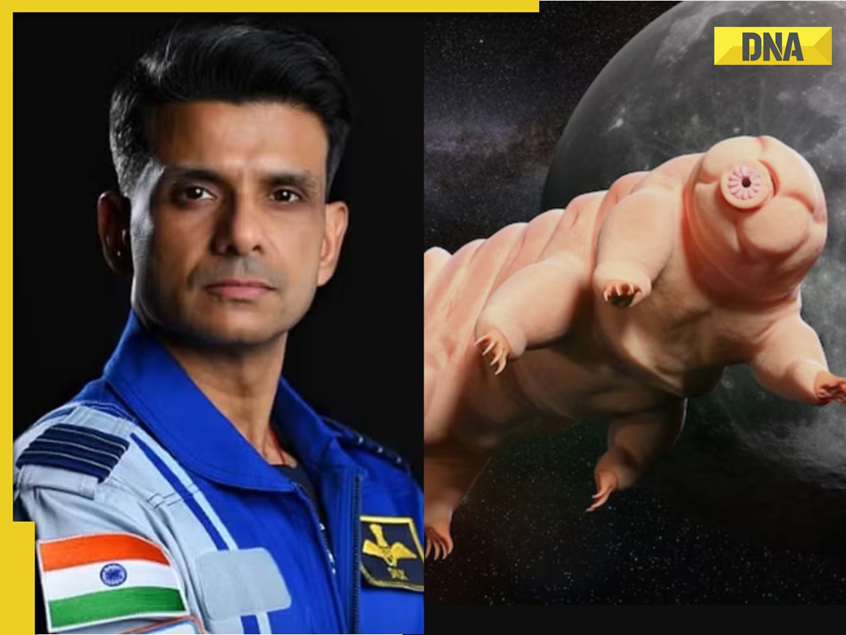 Axiom 4 mission: What are tardigrades and why Indian astronaut Shubhanshu Shukla is carrying them with him to space?