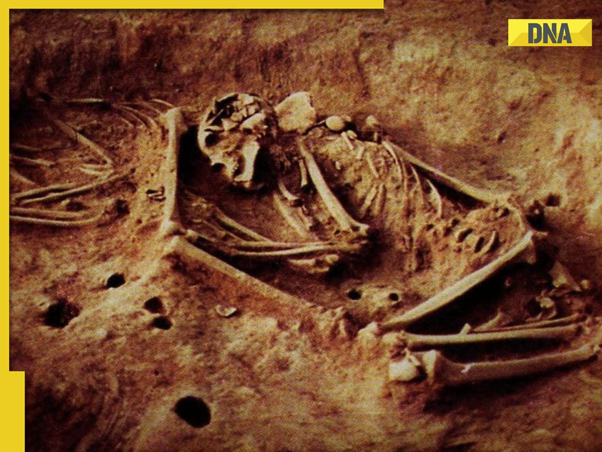 SHOCKING: Scientists discover mysterious 6000-year-old human DNA in..., holds unique...