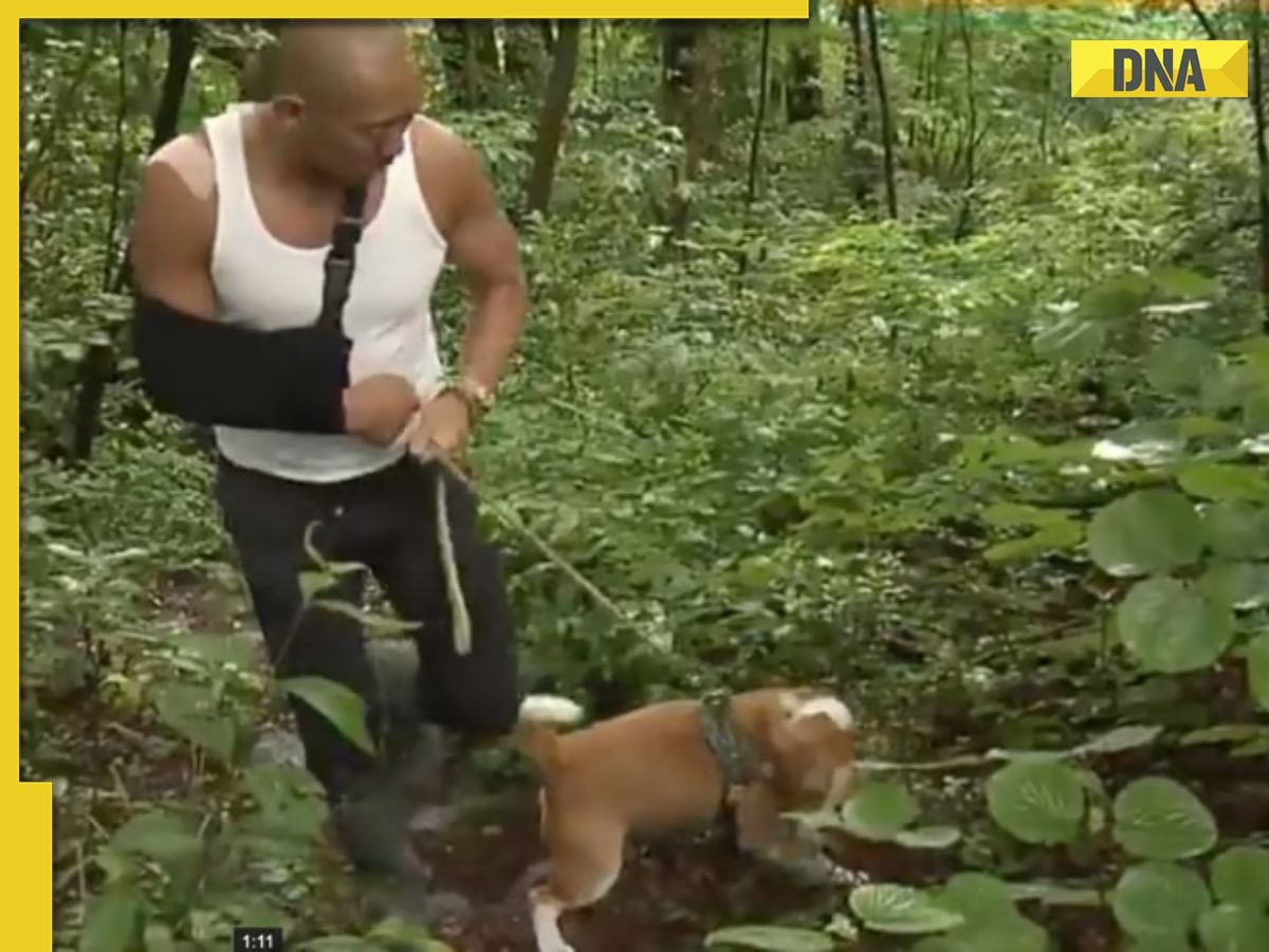 Meet dog who was abandoned by its previous owners for being 'too loud', he then saved Buddhist monk's life from...