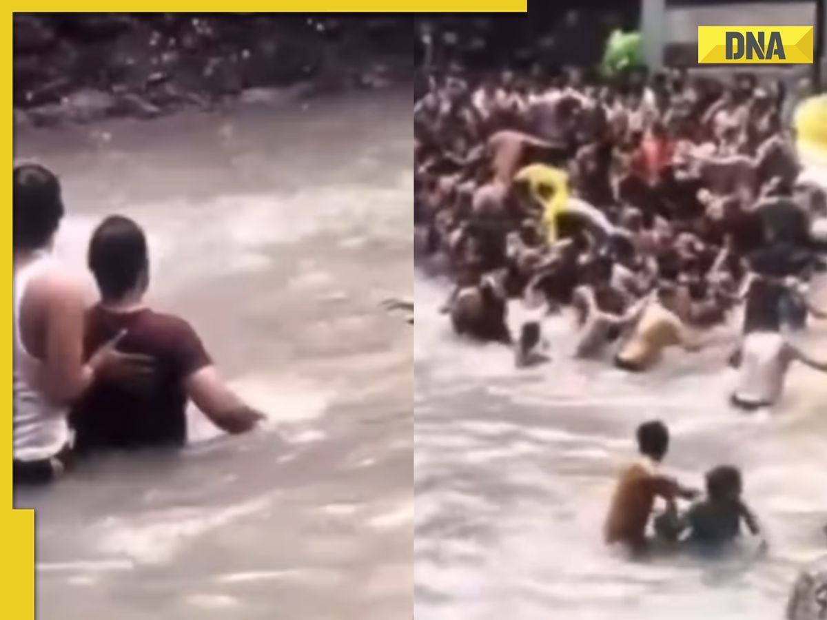 Viral video: Tourists panic as snake slithers into crowded waters at Kempty falls