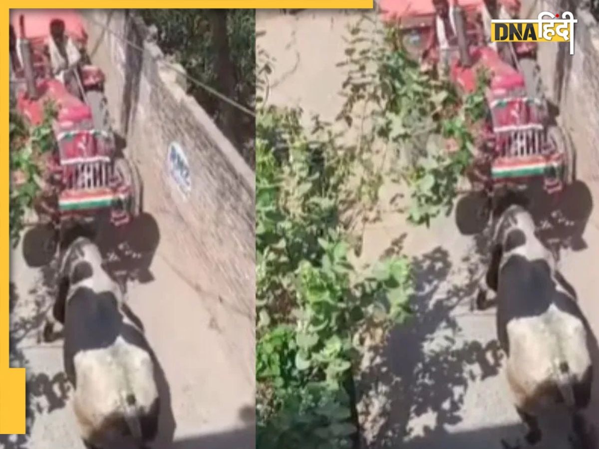 VIRAL VIDEO: जब ट्रैक्टर से भीड़ गया सांड़, हवा में उठा दिया पूरा सामान, वीडियो देख रह जाएंगे हैरान