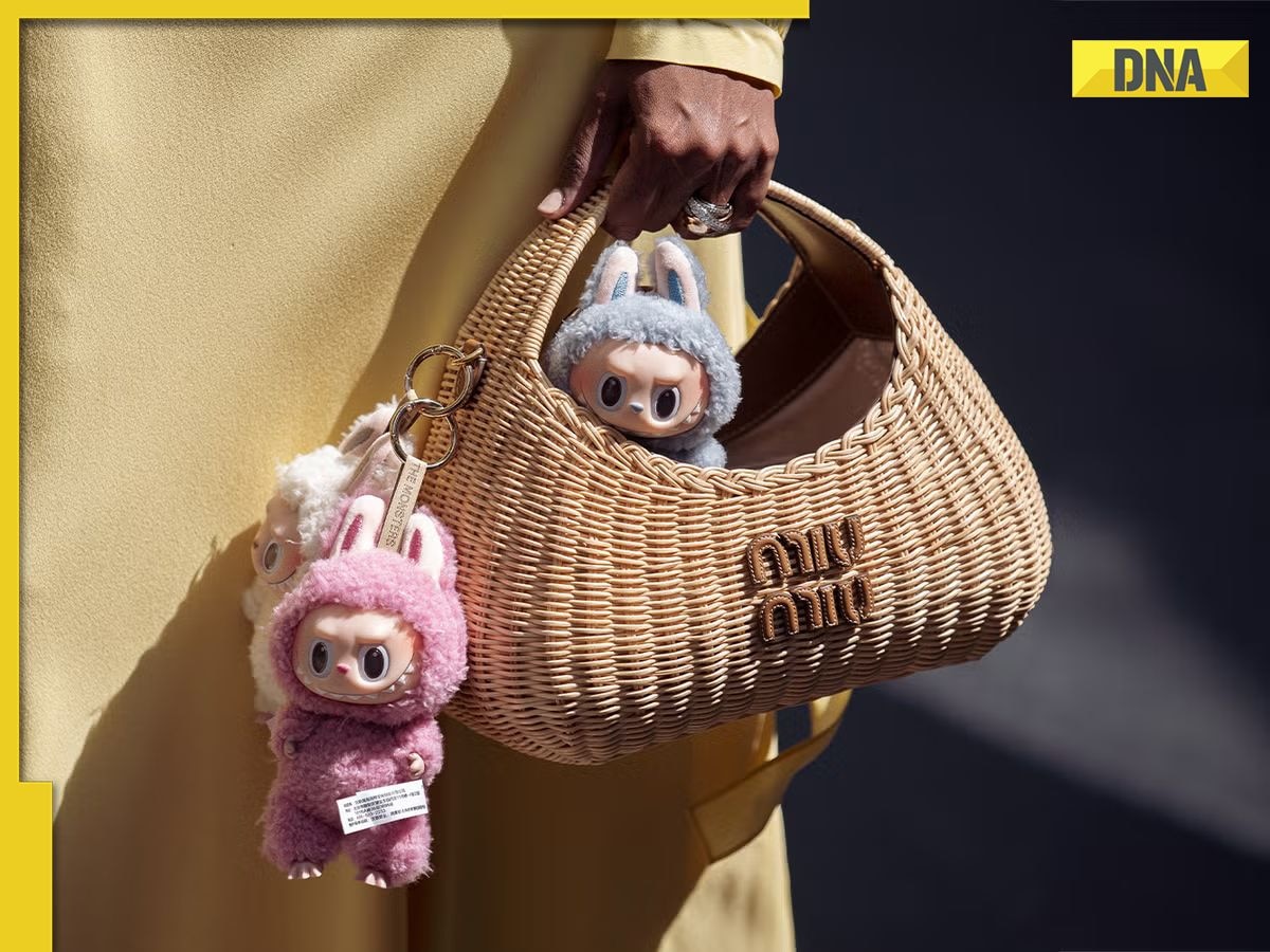 What is Labubu? Why everyone want this quirky doll sold for Rs...