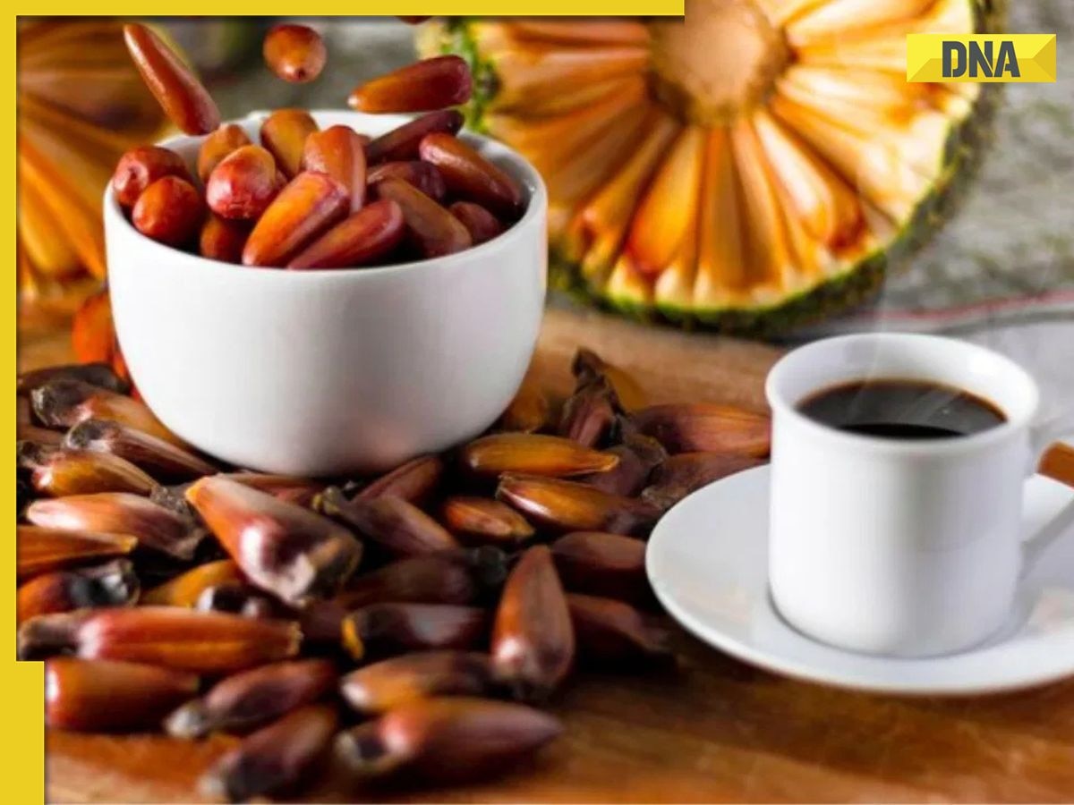 Tried date seed coffee yet? Here’s why everyone’s talking about this new trend