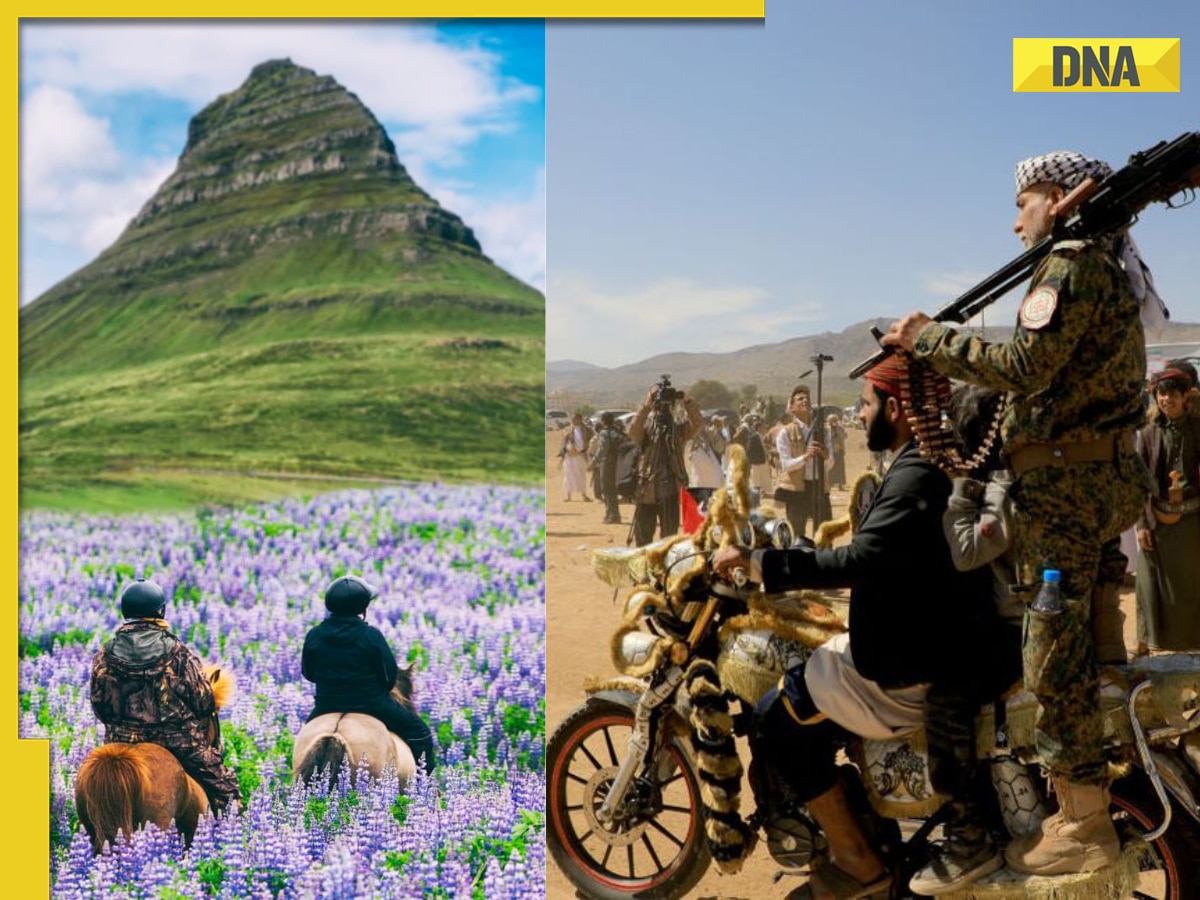 Global Peace Report 2025 Out: Know where India, Pakistan stand among world's most peaceful countries, check full list