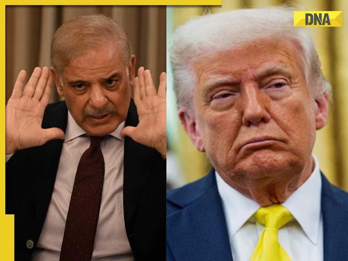 Former Pakistani diplomat SLAMS Pak government for nominating US President Donald Trump for Nobel Prize, says, 'A man who...'