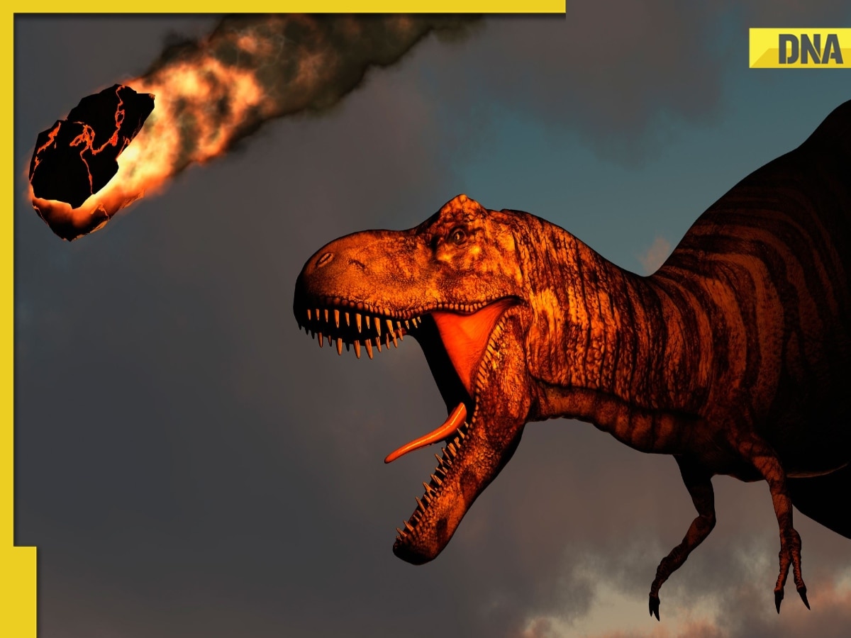  THIS Asteroid killed dinosaurs 66 million years ago, changed marine life forever, it wiped out species like...