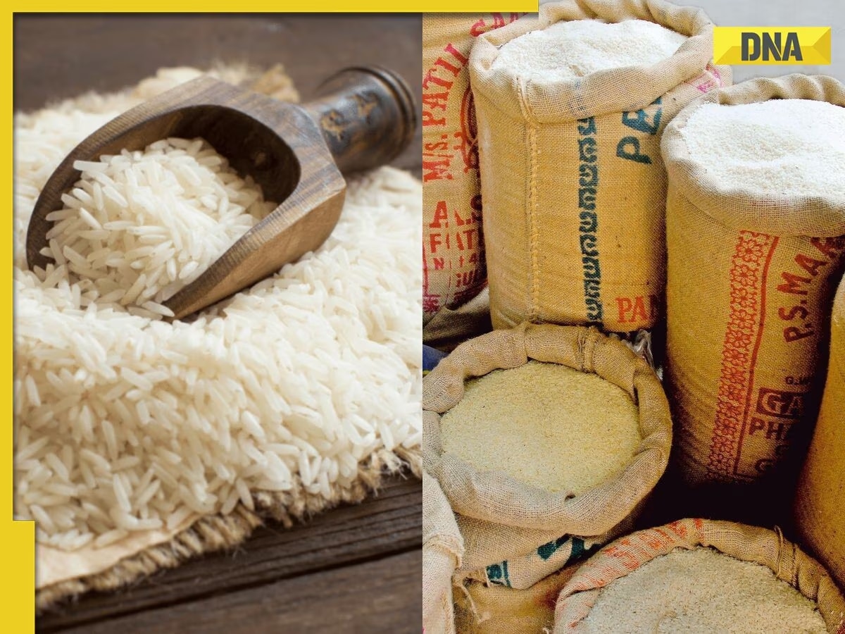 India's 1 lakh tonnes basmati rice shipments stuck at ports due to...