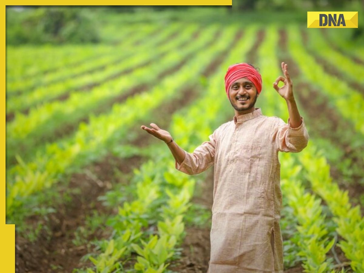 PM-Kisan scheme 20th installment to be released soon: Complete these 4 must-do tasks now to get Rs 2000, here's how to register