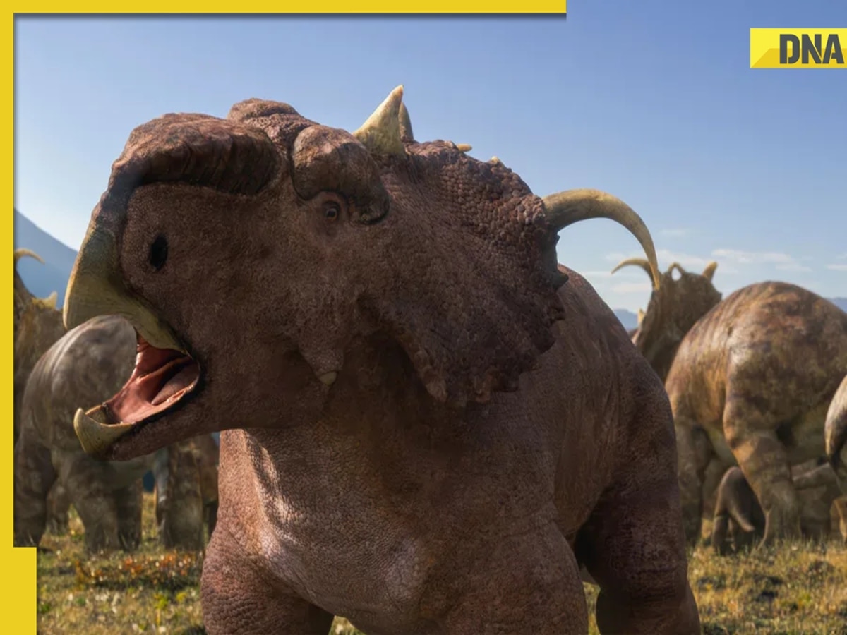Thousands of dinosaurs died in one day at THIS place? What did trigger catastrophe? It was not asteroid, rather...