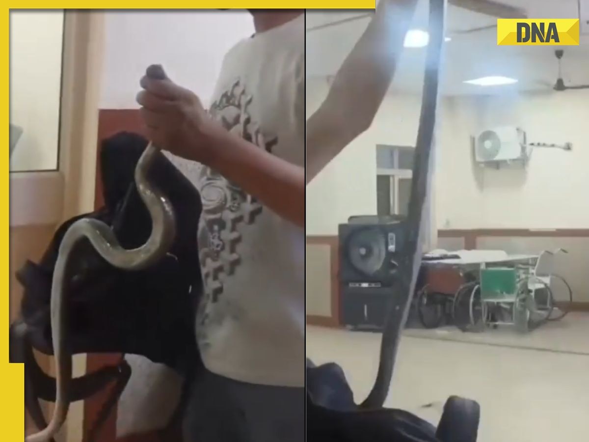 Bitten by snake, man casually walks into hospital with reptile for treatment, WATCH viral video